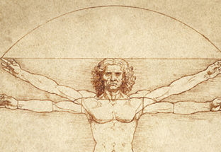 L'homme de Vitruvian de Léonard de Vinci