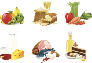 états généraux de l'alimentation