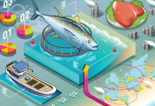 États généraux de l'alimentation : où sont passés la pêche et l'aquaculture ?