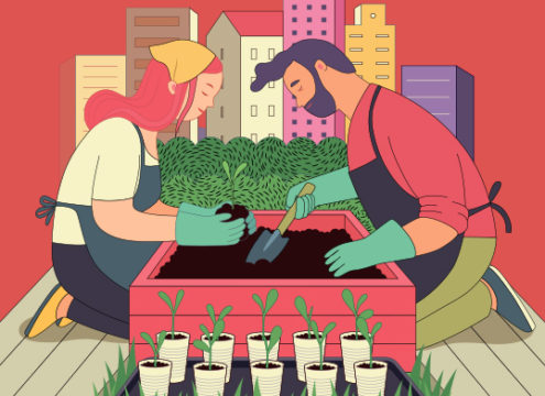 L’agriculture urbaine : un outil au service de la résilience des villes